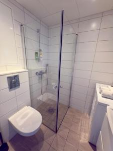 a bathroom with a glass shower and a toilet at Apartment perfect for work or vacation - kitchen, full bathroom, balcony in Oslo