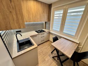 Kuchyň nebo kuchyňský kout v ubytování Cozy Baltic Apartment