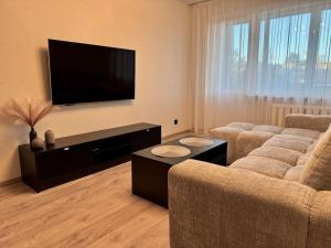 TV a/nebo společenská místnost v ubytování Cozy Baltic Apartment