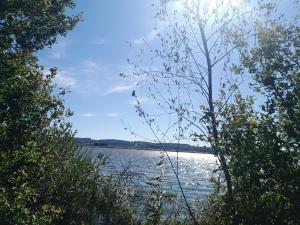 Φυσικό τοπίο κοντά σε αυτό το καταφύγιο +7 φωτογραφίες