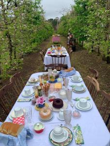 a table with a blue table cloth with food on it at Cabin Refuge in Urubici +10 photos