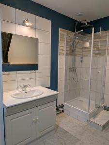 un baño con lavabo y ducha en Avenois 2, en Fourmies