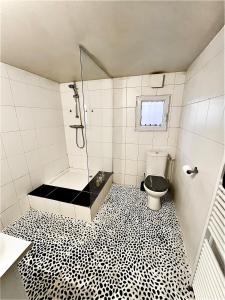 Un baño con ducha y WC. en Quiet in Bry, close to Paris & Disney, large room, en Bry-sur-Marne