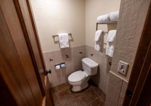a small bathroom with a toilet and towels at Zion Lodge - Inside the Park in Springdale