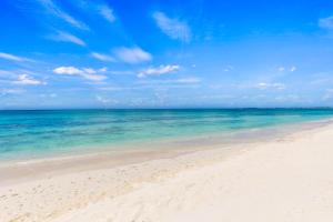 une vue d'une plage avec l'océan dans l'établissement Laguna Del Mar #19 - Seven Mile Beach, à Dog City