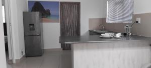 a kitchen with a counter and a refrigerator at Solomon's Nest in Glencairn