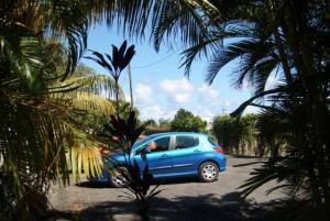 een blauwe auto geparkeerd op een parkeerplaats met palmbomen bij Domaine de Lauréal in Le Moule