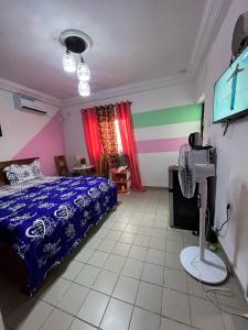 een slaapkamer met een bed en een tv erin bij Vision Hébergement in Bonabéri