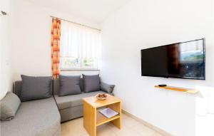 a living room with a couch and a flat screen tv at Gorgeous Apartment In Krk in Linardići +15 photos