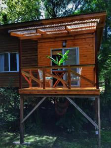 Κήπος έξω από το Cabaña Midori - Encanto Tigre