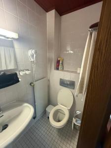 a small bathroom with a toilet and a sink at Haus Danz in Brühl