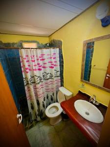 a bathroom with a toilet and a shower curtain at Koonex in Los Reartes