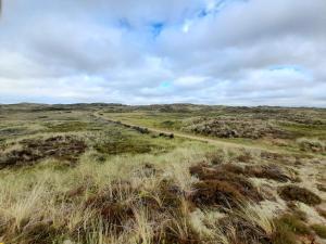 Příroda nedaleko prázdninového domu