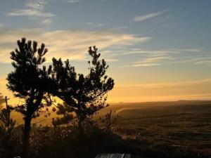 a silhouette of a tree on a hill with the sunset at 8 person holiday home in Hurup Thy-By Traum in Sindrup