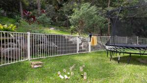 a fence with a bunch of birds in the grass at Walk To Beach, Pet Friendly Trampoline in Umina +9 photos