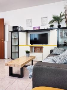 a living room with a couch and a tv at [Centro storico] Vulcano1, Bilocale strategico tra Milano, Como, fiere in Turate