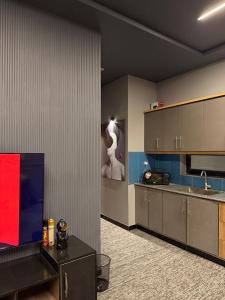 een keuken met grijze kasten en een wit beeldhouwwerk aan de muur bij Luxury Stay in buch villas multan in Multan