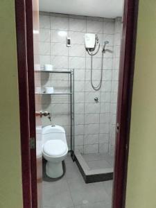 een badkamer met douche en toilet bij Sol de Paracas in Pisco