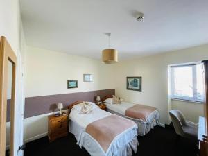 une chambre d'hôtel avec deux lits et une fenêtre dans l'établissement Alister Guest House, à Saint-Hélier