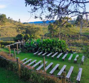 a garden with a bunch of steps in the grass at Hermosa Finca El Castillo - Excelente Ubicación Rionegro Marinilla in Rionegro