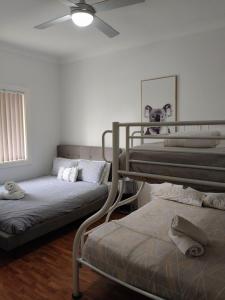 Ein Schlafzimmer mit zwei Etagenbetten und einem Hund, der oben drauf sitzt. in der Unterkunft Coconut Cottage - Sanctuary Point in Sanctuary Point