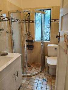 ein Badezimmer mit Dusche und Toilette in der Unterkunft Coconut Cottage - Sanctuary Point in Sanctuary Point