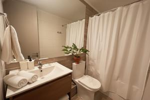 Un baño con lavabo, inodoro y ducha. en Santiago Centro I Eventos Movistar Arena, en Santiago