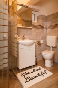 a bathroom with a sink and a toilet at Holiday house with a parking space Zlobin, Gorski kotar - 15452 in Benkovac Fužinski