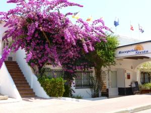 a bunch of purple flowers hanging from a building at Siesta Mar Apartamentos Ibiza in Santa Eularia des Riu