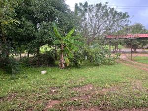 Κήπος έξω από το Centro Holistico Casa Orion