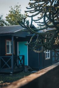 a house with a blue door and a tree at casa ikigai in Curacautín