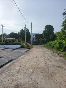 Φωτογραφία από το άλμπουμ του Dragonfly σε Treasure Beach