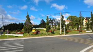 Zahrada ubytování Amy Hotel & Apartment + 20 fotografií