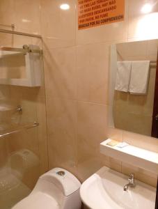 ein Badezimmer mit Toilette, Waschbecken und Dusche in der Unterkunft Hotel FerAnthon in Cuenca
