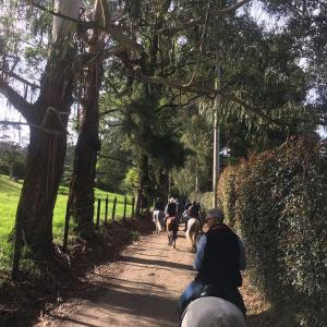 ラ・セハにあるHotel Campestre Ronda Ecuestre Rionegroの馬に乗る人々