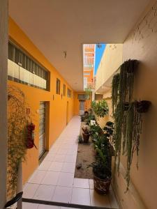 un couloir vide d'un immeuble avec des plantes en pot dans l'établissement Pousada Lirio do Vale, à Cachoeira Paulista