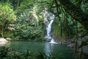 a waterfall in a forest next to a river at Hotel Boutique Maitta en Doradal Antioquia in Doradal