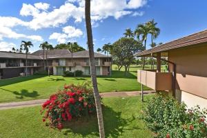 Un complejo de apartamentos con una palmera y un patio. en Eldorado J209 · EL J209 Spacious Studio w AC Pool and Beach Caba, en Kahana