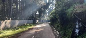 an empty road with trees on the side of it at Kalanja Greens Nilagiri Villa in Ooty