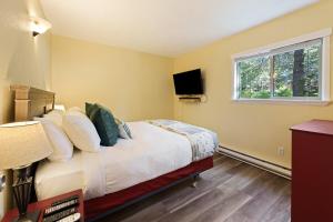 TV a/nebo společenská místnost v ubytování Ski Condo 138 condo