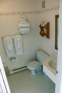 Brier Island Lodge tesisinde bir banyo