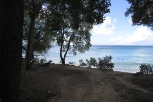 a view of a beach with trees and the ocean at 205 Batts Rock Beach Condos in Saint Michael +5 photos