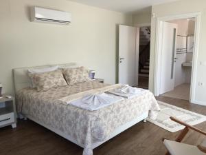 Gallery image of Crescent Twins -White Villa in Dalyan