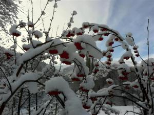 Fotografie z fotogalerie ubytování The Arrow Hotel v destinaci Arrowtown