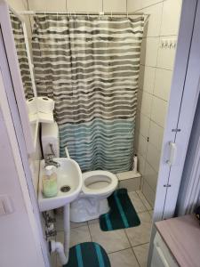 een badkamer met toilet en douchegordijn bij Apartman u centru Prnjavor in Prnjavor