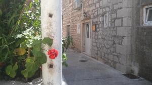 Fotografie z fotogalerie ubytování Holiday House Popovic v destinaci Sućuraj