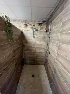 a bathroom with a shower with plants on the wall at Les Pichies, Studio Dadoum, Centre ville in Digoin