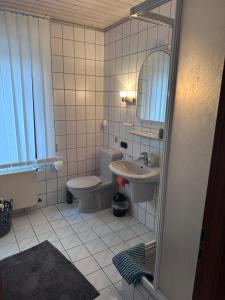 a bathroom with a sink and a toilet and a mirror at Apel Apartments 1 in Nörten-Hardenberg