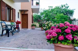 A garden outside Nefeli