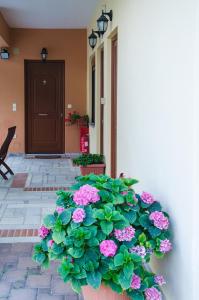 A garden outside Nefeli